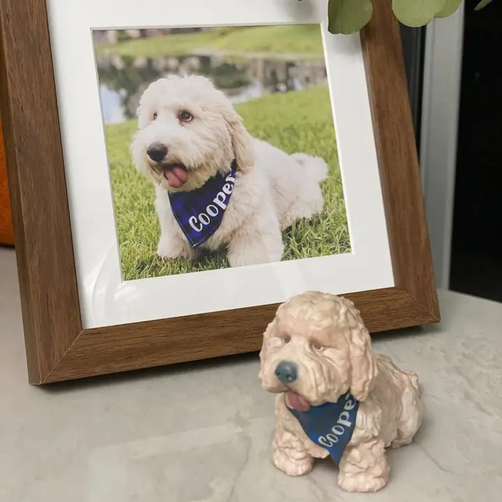 Custom 3D printed scale model of a pet